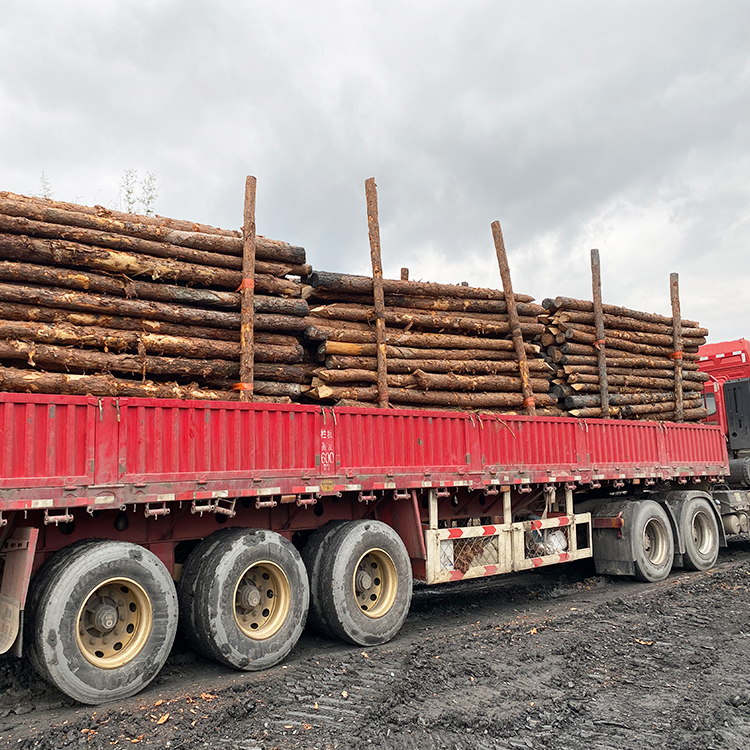 河道木樁報價(jià):河道(6米)松木木樁多少錢(qián)一米,原木樁多少錢(qián)？