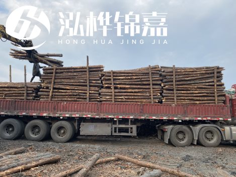 打樁木材為何首選松木？松木樁應該怎么打樁施工