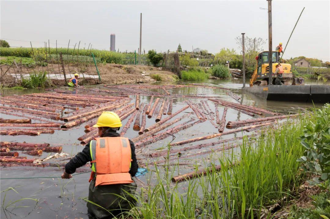 改善水環(huán)境！徐行122條段村級河道用木樁對河岸進(jìn)行加固整治