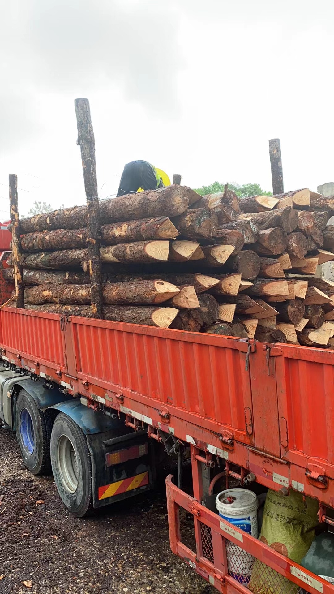 松木樁新手必備！快速掌握規范和要求