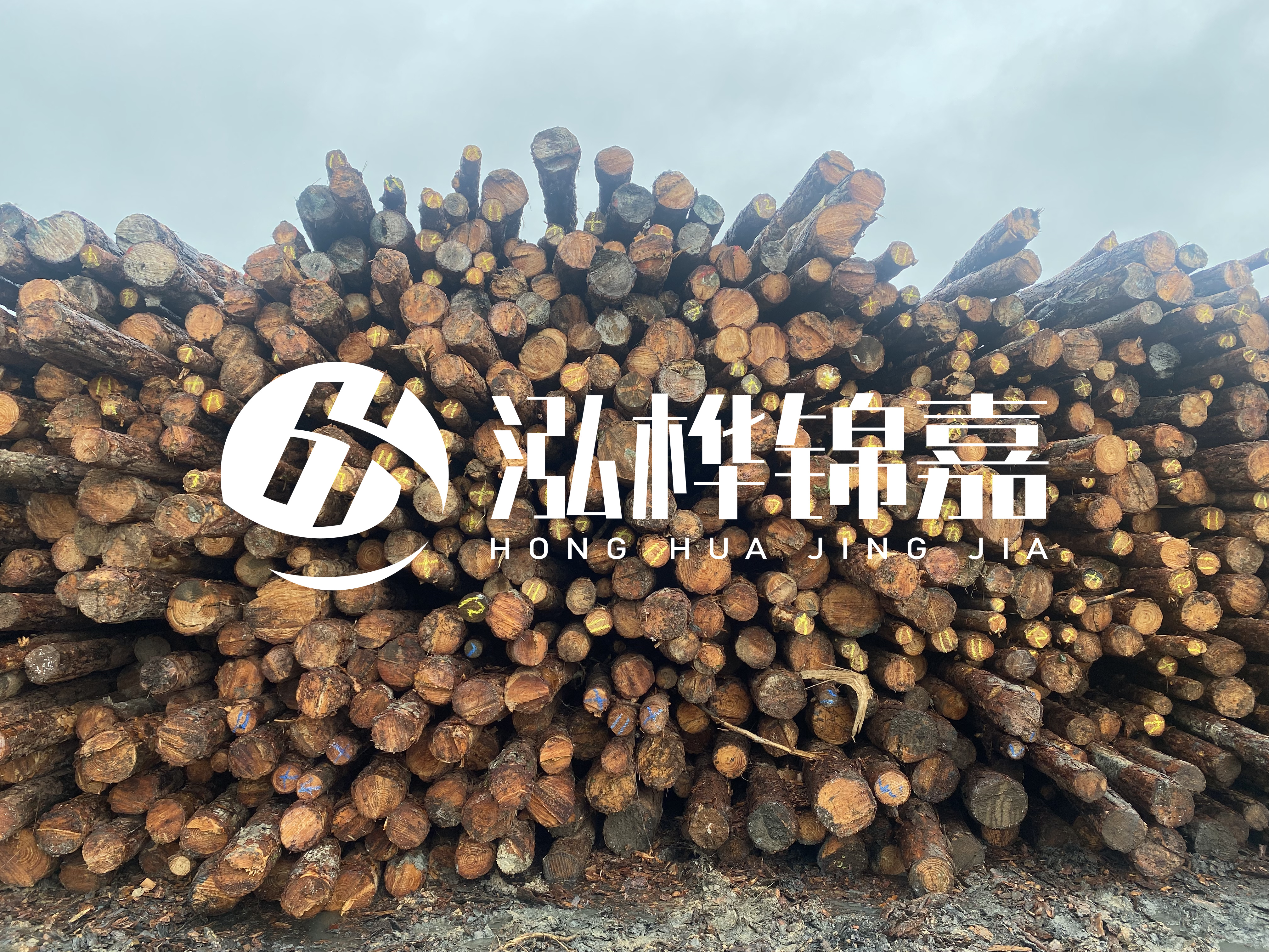 松木樁的直徑一般取多少？